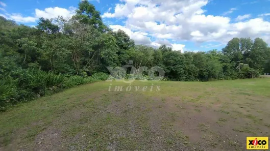Lote/Terreno à venda, 5000m² no Centro, Picada Café