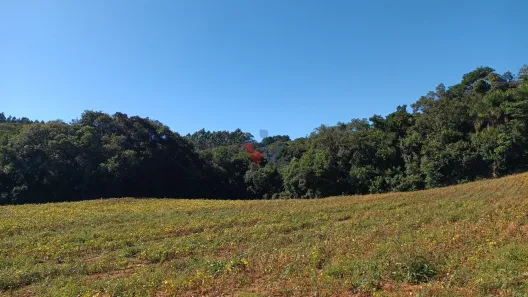 Fazenda/Sítio com 1 Quarto à venda, 23482m² no Área Rural de Araucária, Araucária