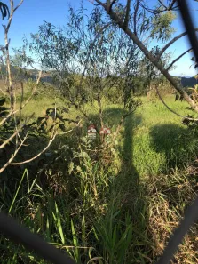 Fazenda/Sítio com 1 Quarto à venda, 10000m² no Altos da Vila Paiva, São José dos Campos