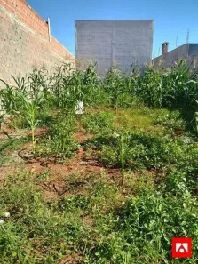 Lote/Terreno à venda, 250m² no Reserva Centenária, Santa Bárbara D'Oeste