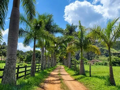 Lote/Terreno à venda, 1680m² no Torreões, Juiz de Fora