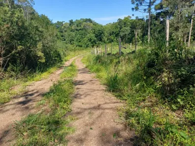 Lote/Terreno à venda, 24000m² no , Três Coroas