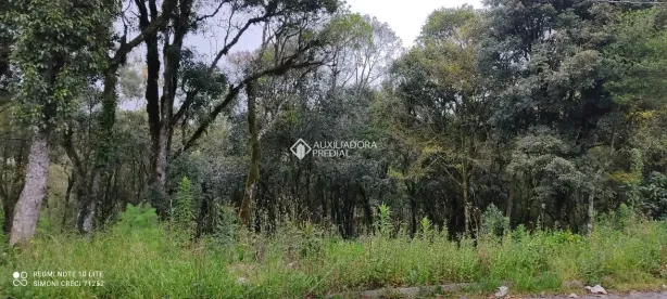 Lote/Terreno à venda, 612m² no Vila do Cedro, Canela