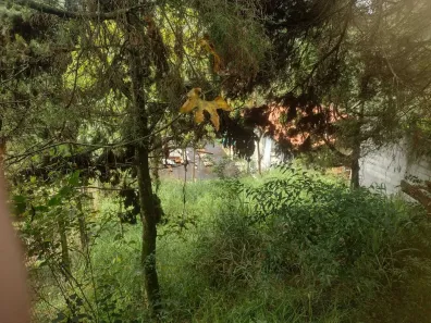 Lote/Terreno à venda, 503m² no Granja Carneiro Viana, Cotia