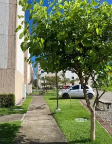 Apartamento com 2 Quartos à venda, 40m² no Barra de Jangada, Jaboatão dos Guararapes
