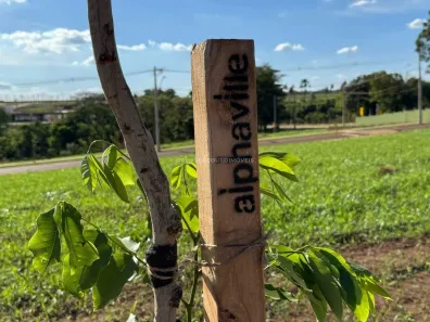 Lote/Terreno à venda, 300m² no Recreio dos Bandeirantes, Uberaba