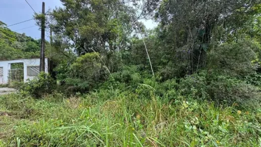 Lote/Terreno à venda, 1078m² no Gaivota (Interior), Itanhaém