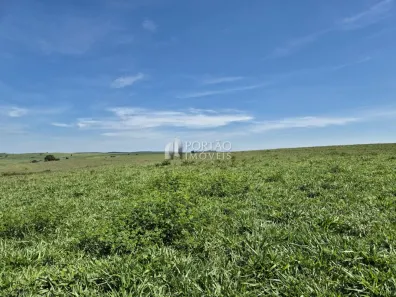 Fazenda/Sítio à venda, 4525400m² no Jardim Aclimação, Pirajuí