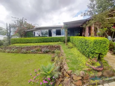 Fazenda/Sítio com 3 Quartos à venda, 190m² no Vila Rural, Ibiporã