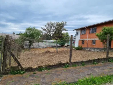 Lote/Terreno para alugar, 360m² no São Ciro, Caxias do Sul