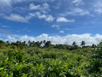 Lote/Terreno à venda, 46000m² no , Barra de Santo Antônio