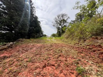 Lote/Terreno à venda, 493m² no Bonfim, Santa Cruz do Sul
