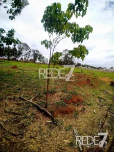 Lote/Terreno à venda, 5213m² no Chácaras São Martinho, Campinas