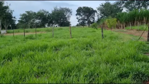 Fazenda/Sítio com 2 Quartos à venda, 31000m² no , Itaberaí