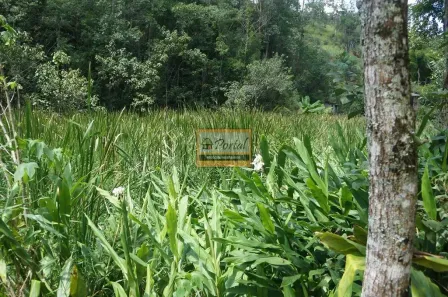 Lote/Terreno à venda, 6150m² no Chácaras Campo Limpo, Campo Limpo Paulista