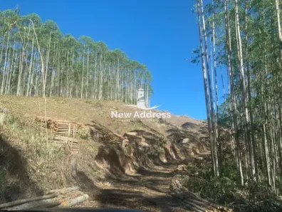 Fazenda/Sítio com 1 Quarto à venda, 20000m² no Victor Hugo, Domingos Martins