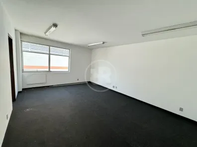Sala Comercial para alugar, 40m² no Centro, Blumenau
