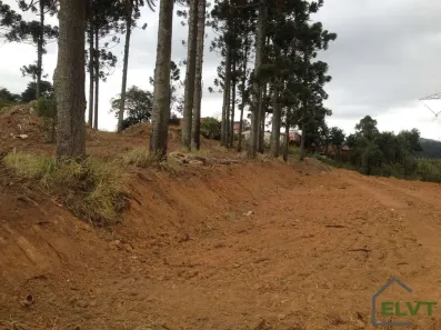 Lote/Terreno à venda, 2742m² no Jardim Sandra, Cotia
