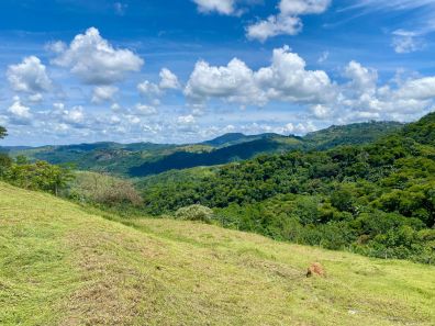 Lote/Terreno à venda, 491m² no Salvaterra, Juiz de Fora