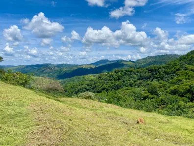 Lote/Terreno à venda, 491m² no Salvaterra, Juiz de Fora