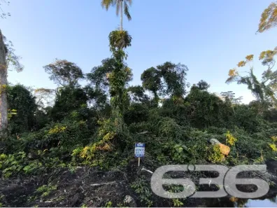 Lote/Terreno à venda, 442m² no Salinas, Balneário Barra do Sul