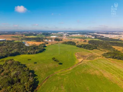 Lote/Terreno à venda, 20000m² no Eucaliptos, Fazenda Rio Grande