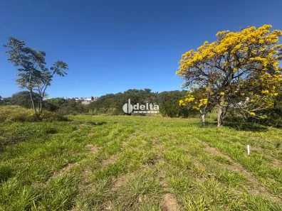 Lote/Terreno à venda, 367m² no Vigilato Pereira, Uberlândia