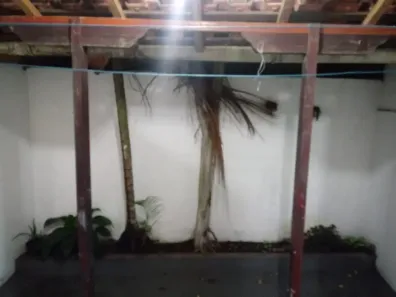 Casa com 2 Quartos à venda, 65m² no Jardim Germânia, São Paulo