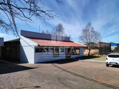 Sala Comercial para alugar, 100m² no Parque São Paulo, Cascavel