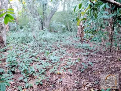 Lote/Terreno à venda, 1500m² no Jardim Jaraguá, Atibaia