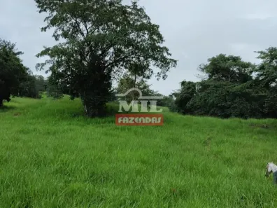 Fazenda/Sítio à venda, 500m² no , Morro Agudo de Goiás