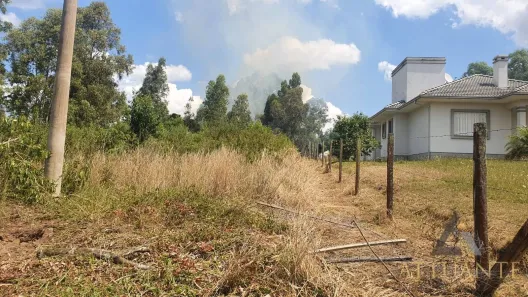 Lote/Terreno à venda, 7441233m² no São Virgílio, Caxias do Sul