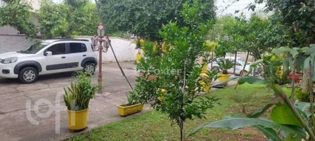 Casa com 3 Quartos à venda, 50m² no Vila Fátima, Cachoeirinha
