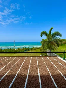 Casa de Condomínio com 4 Quartos à venda, 479m² no Garça Torta, Maceió