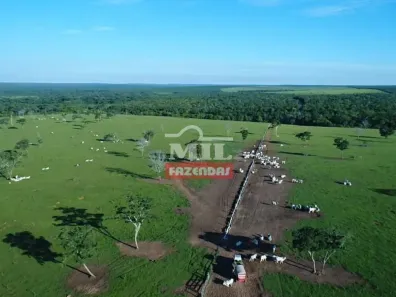 Fazenda/Sítio à venda, 6280m² no , Paranatinga