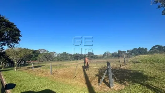 Lote/Terreno à venda, 8464m² no Esperança, Londrina