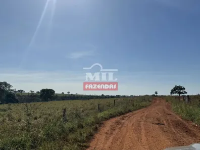 Fazenda/Sítio à venda, 500m² no , Torixoréu