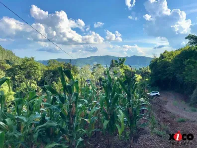 Fazenda/Sítio com 1 Quarto à venda, 5000m² no Fazenda Pirajá, Nova Petrópolis