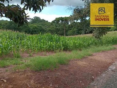 Lote/Terreno à venda, 12100m² no Rondinha, Campo Largo