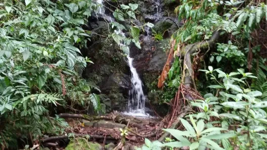 Fazenda/Sítio à venda, 480000m² no Visconde de Mauá, Resende
