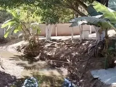 Fazenda/Sítio com 1 Quarto à venda, 4000m² no , Padre Bernardo