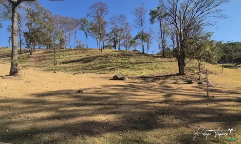 Lote/Terreno à venda, 2000m² no Residencial Aldeia do Vale, Goiânia