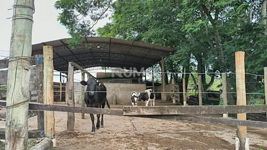 Fazenda/Sítio com 6 Quartos à venda, 450m² no , Alpinópolis