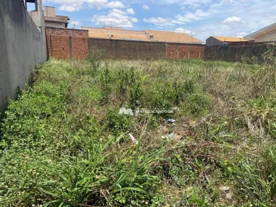 Lote/Terreno à venda, 367m² no Parque São Miguel, São José do Rio Preto