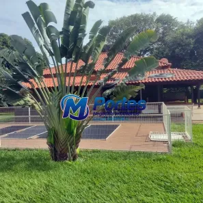 Fazenda/Sítio com 3 Quartos à venda, 225m² no Estância Bosque Verde (Zona Rural), São José do Rio Preto