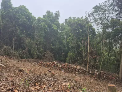 Lote/Terreno com 1 Quarto à venda, 839m² no Roseira, Mairiporã