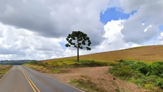 Fazenda/Sítio à venda, 284350m² no , Irani