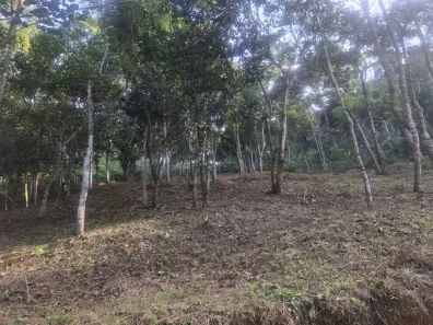 Lote/Terreno à venda, 1000m² no Visconde de Mauá, Resende
