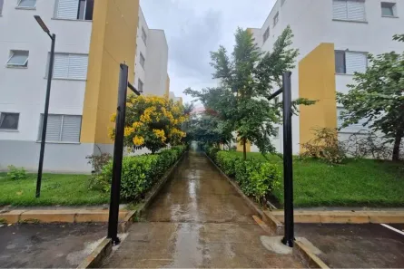 Apartamento com 2 Quartos para alugar, 47m² no Bela Vista, Paulínia