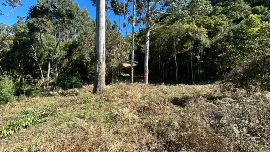Lote/Terreno à venda, 16600m² no , Rancho Queimado